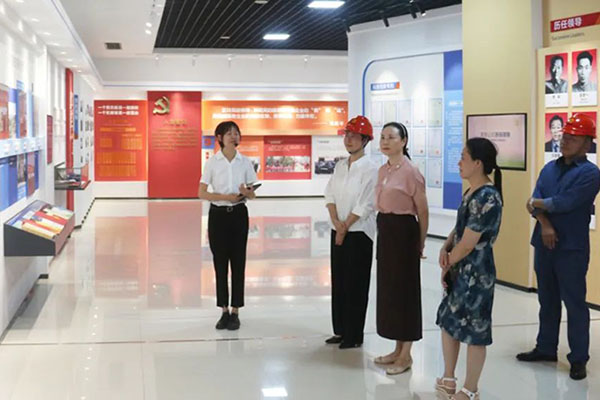 市國(guó)資委黨委副書記胡琳率隊(duì)到公司督導(dǎo)檢查